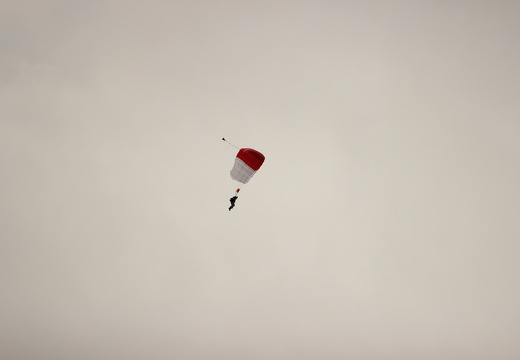 IMG 4292